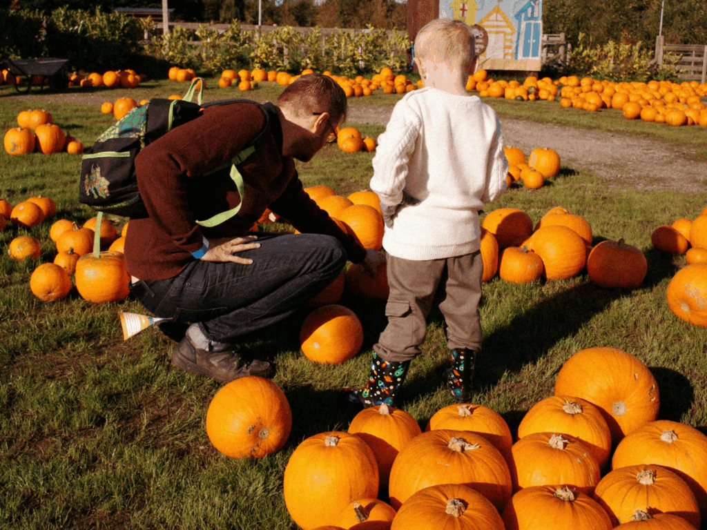 Fall activities dad and son